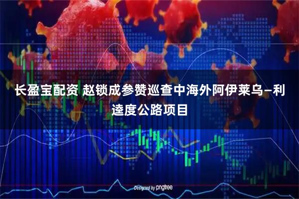 长盈宝配资 赵锁成参赞巡查中海外阿伊莱乌—利逵度公路项目