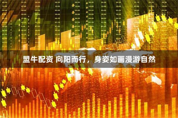 盟牛配资 向阳而行，身姿如画漫游自然
