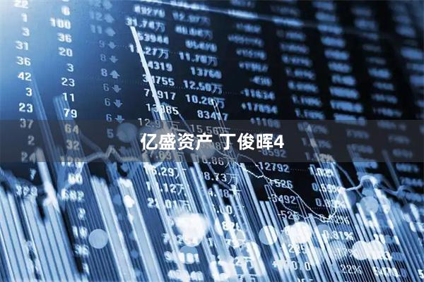 亿盛资产 丁俊晖4